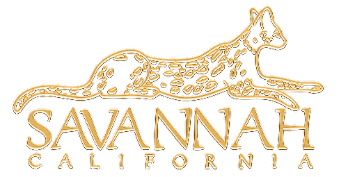 Savannah Сalifornia